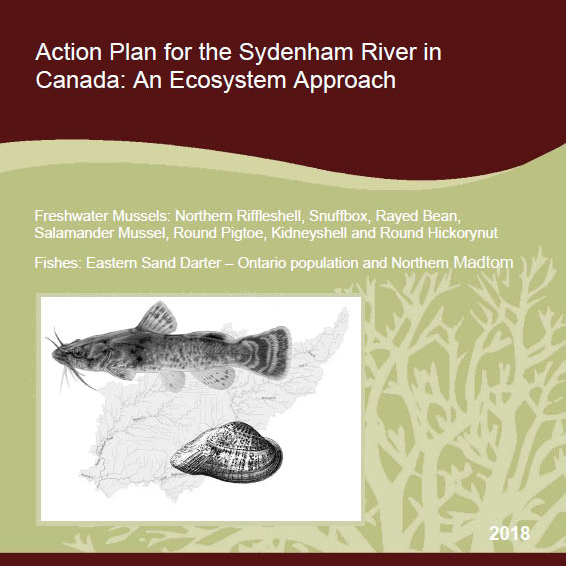 Title page of the 2018 Action Plan for the Sydenham River in Canada: An Ecosystem Approach