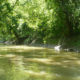 The North Sydenham Shows off its Mussels