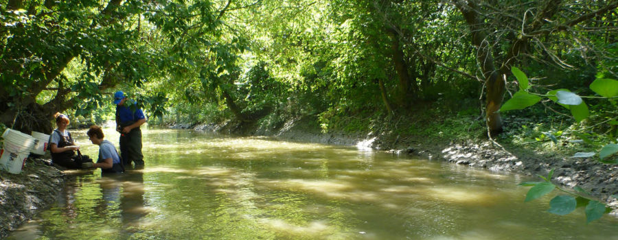 Picture of river with three biologists on bank processing mussels