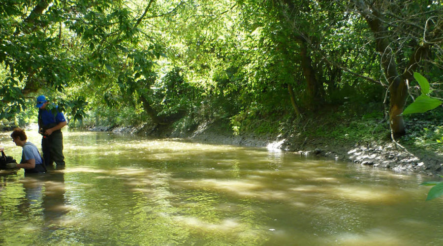 Picture of river with three biologists on bank processing mussels