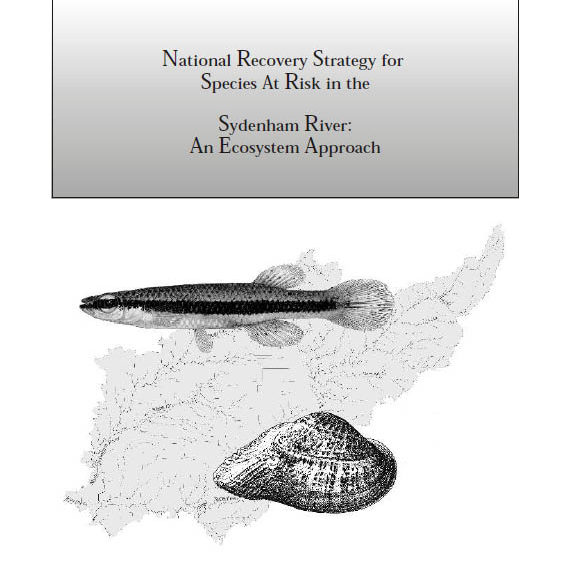 Title page of the 2003 National Recovery Strategy for Species at Risk in the Sydenham River: Ecosystem Approach
