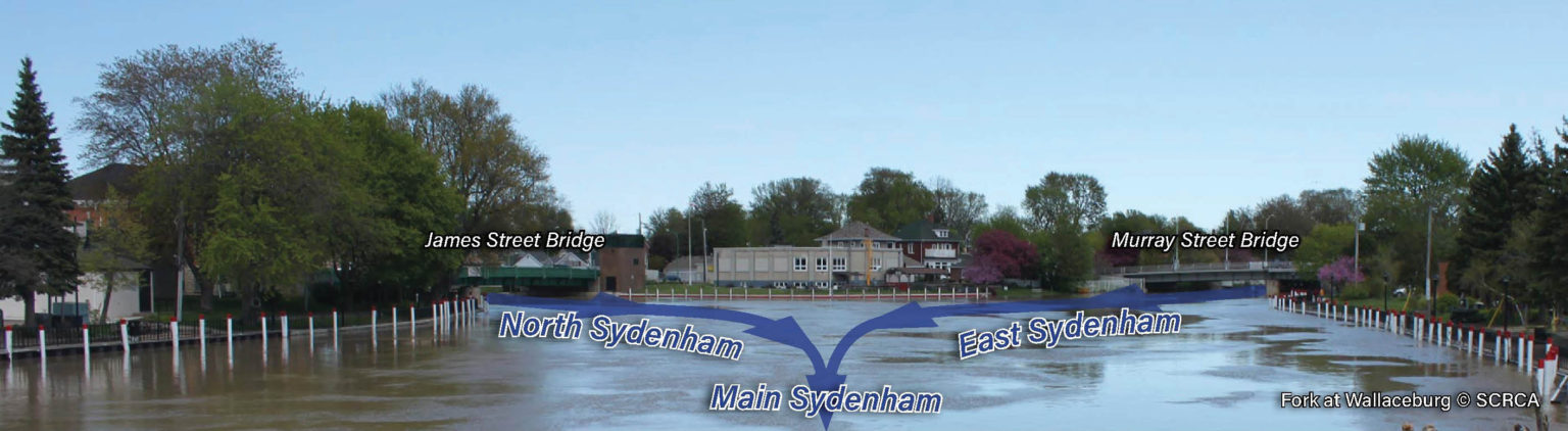Sydenham River Watershed