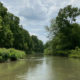 The Spectacular Sydenham Species at Risk Art Contest 2022