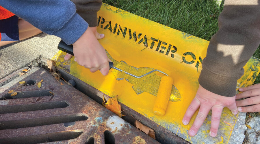 Follow the Yellow Fish Road!