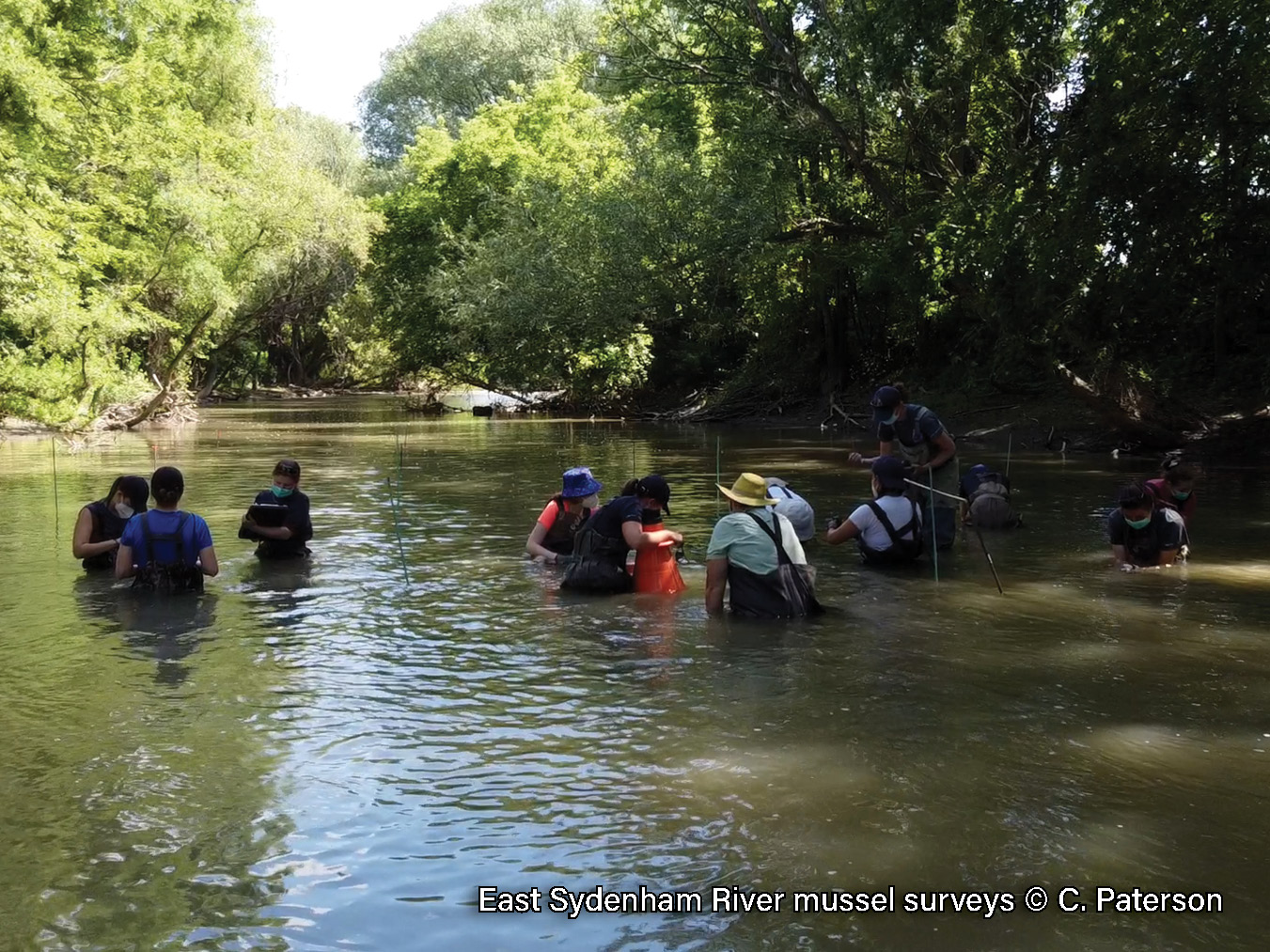 2022 Mussel Surveys - CP (1)