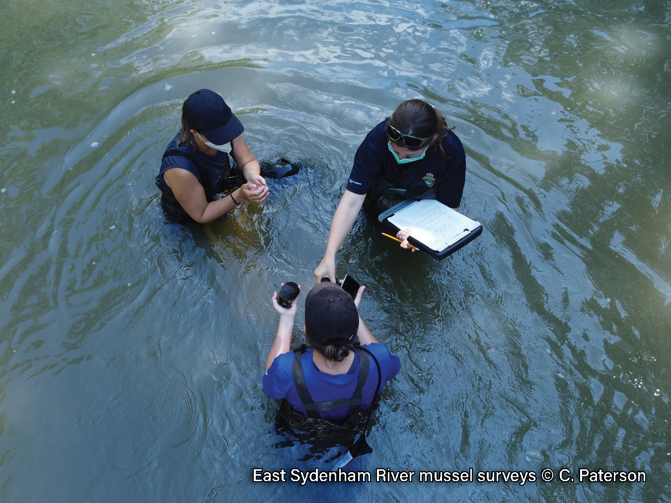 2022 Mussel Surveys - CP (4)