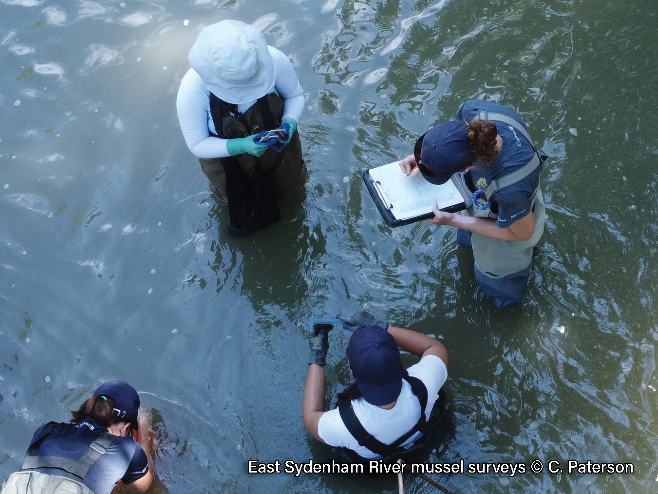 2022 Mussel Surveys - CP (6)
