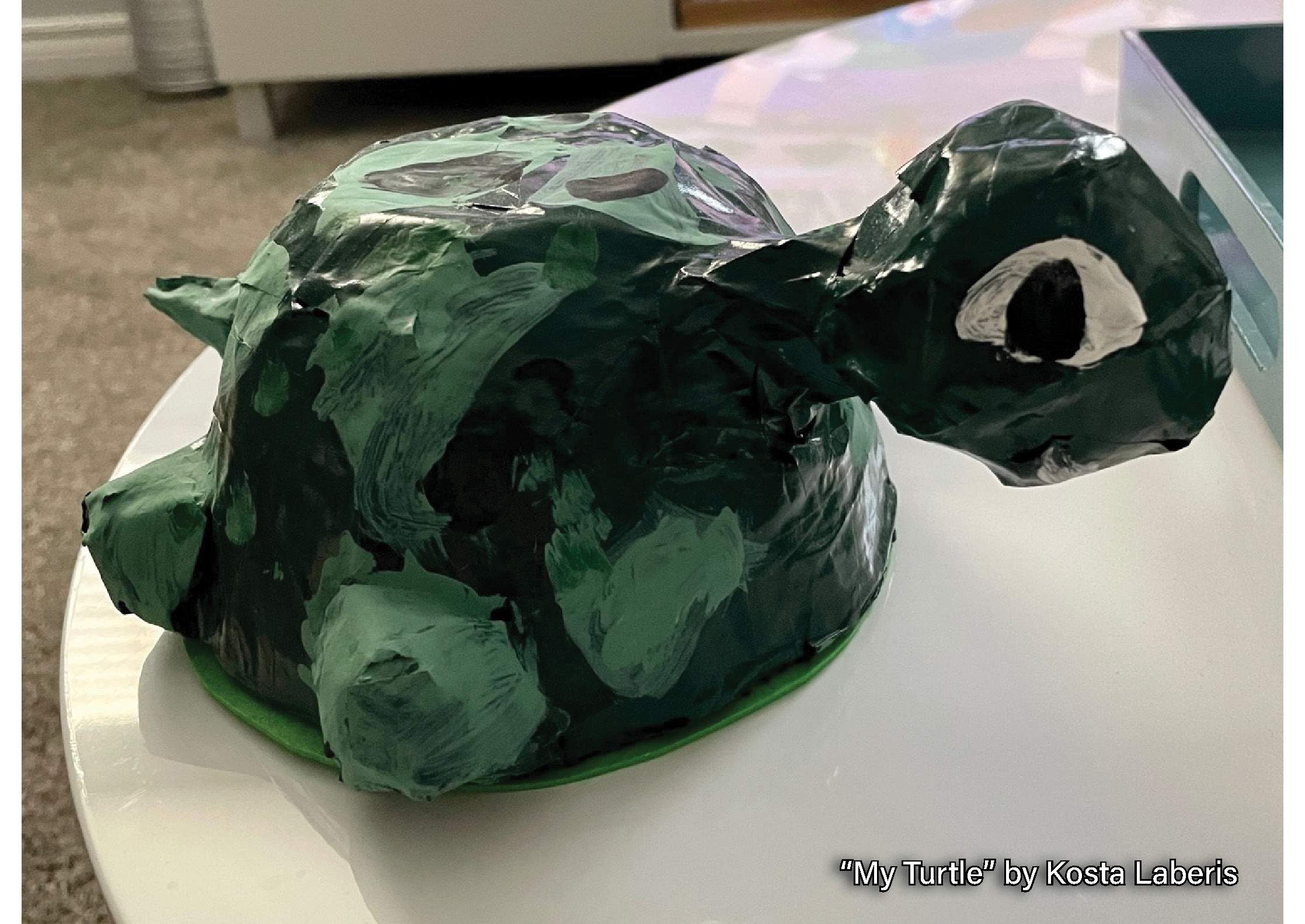 2022 AC My Turtle - K Laberis (2)