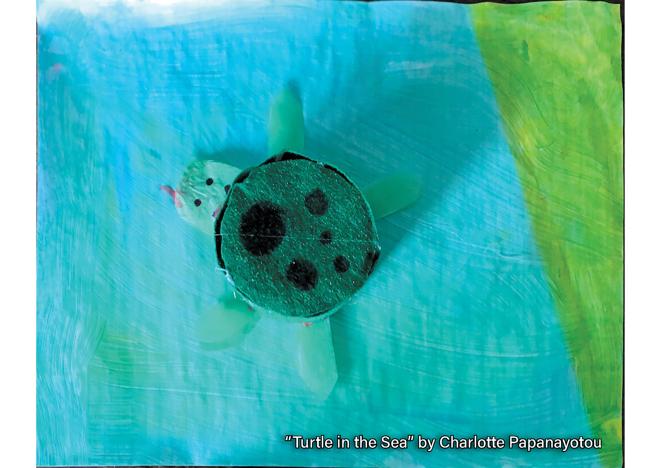2022 AC Turtle in the Sea - C Papanayotou (2)
