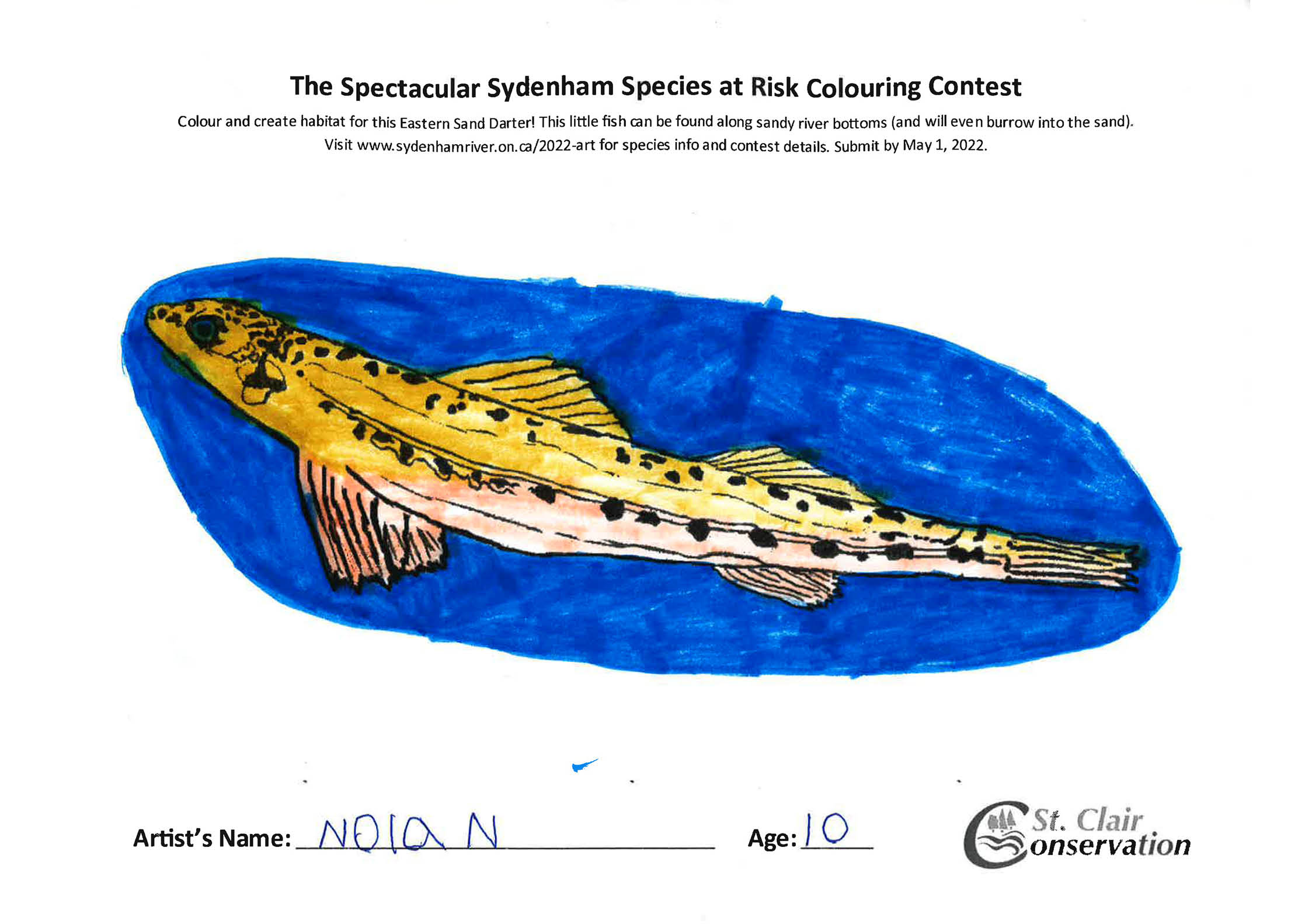 2022CC Eastern Sand Darter - N Greenwood (2)