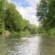 2026 Sydenham River Newsletter