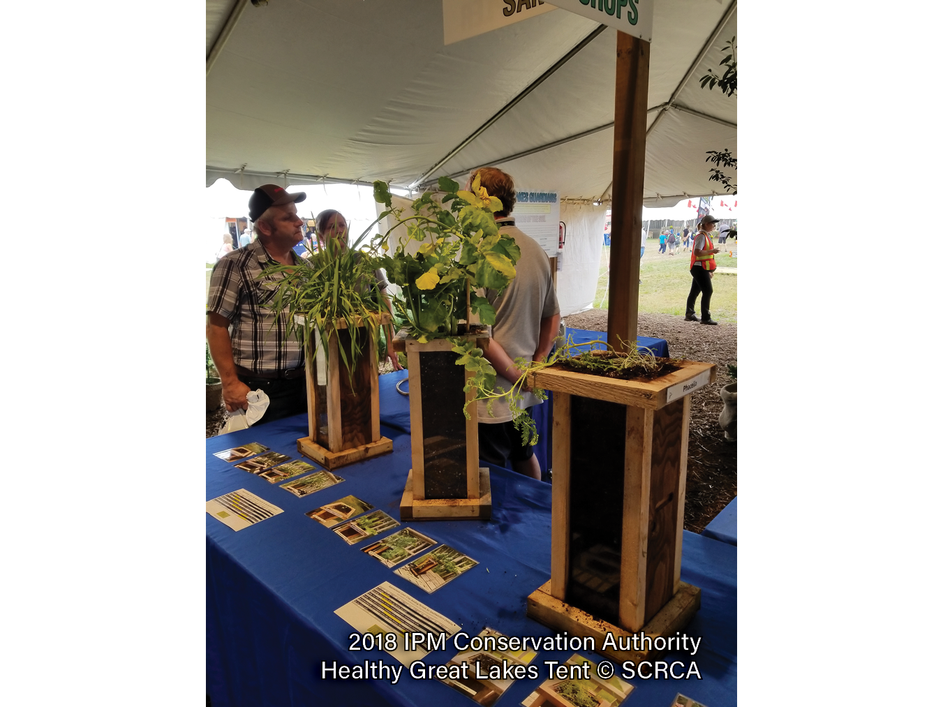 2018-IPM-Tent-7