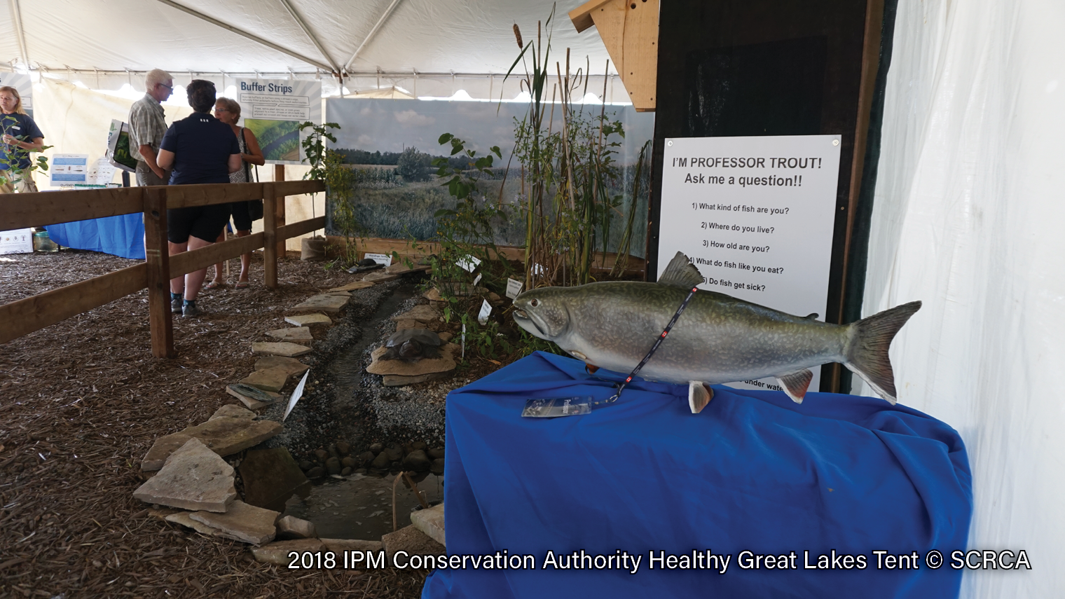 2018-IPM-Tent-8