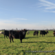 2020 Nutrient Management Workshop