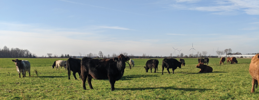 2020 Nutrient Management Workshop