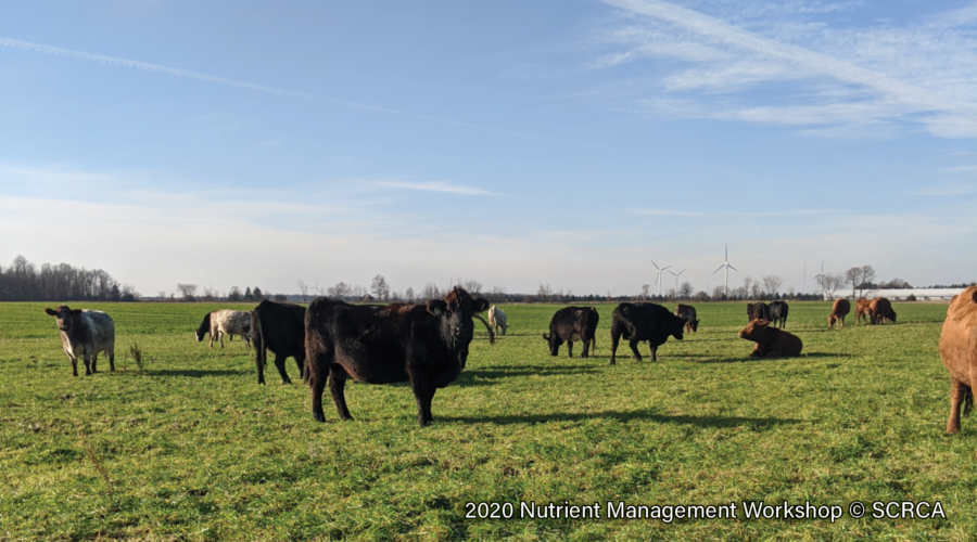 2020 Nutrient Management Workshop