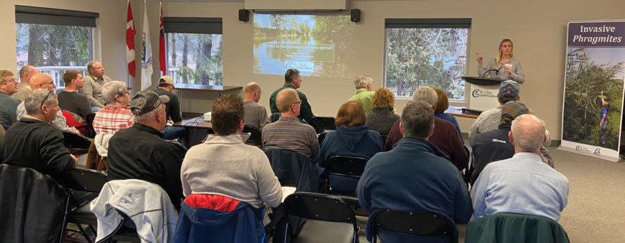 2020 Wetland and Phosphorus Workshop