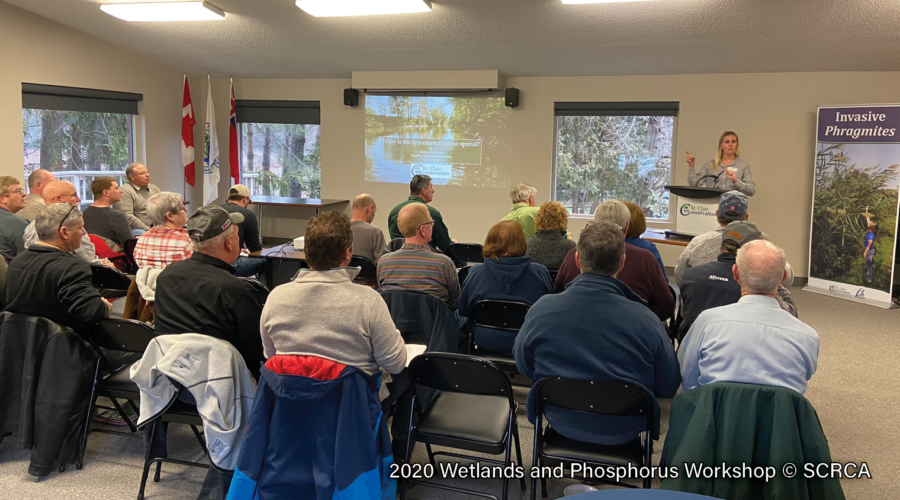 2020 Wetland and Phosphorus Workshop