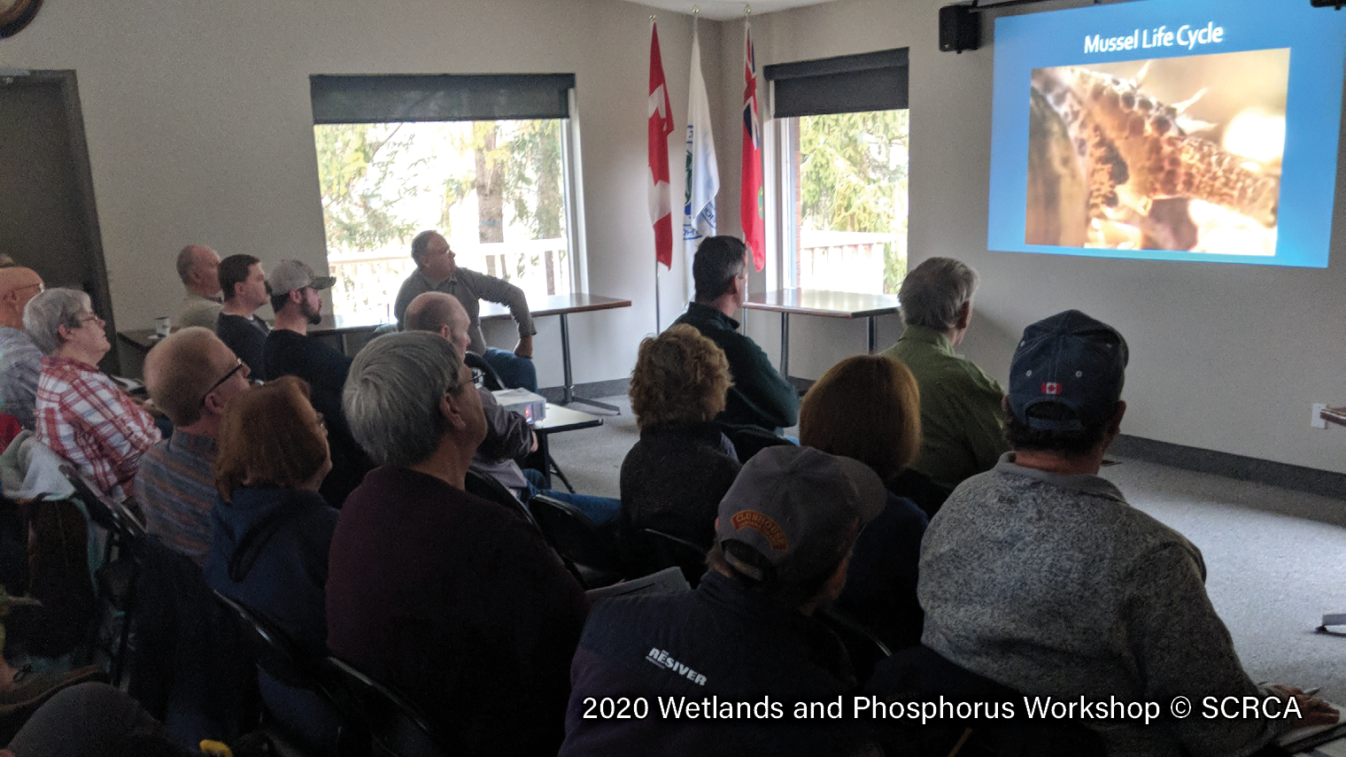 2020-Wetlands-and-Phosphorus-Workshop-2