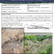 Green Infrastructure in Rural Drainage Case Study: DeCow Drain in Chatham-Kent