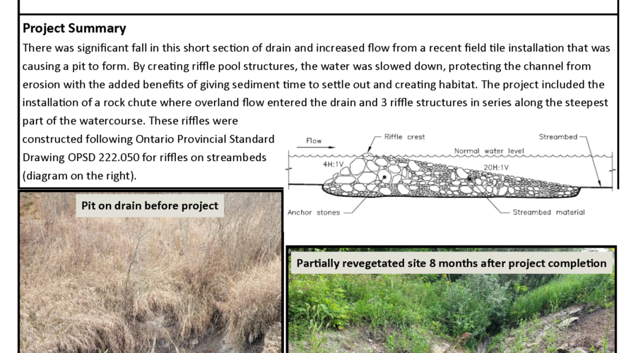 Green Infrastructure in Rural Drainage Case Study: DeCow Drain in Chatham-Kent