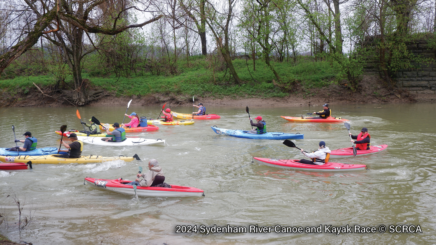 2024-Sydenham-River-Canoe-and-Kayak-Race-5