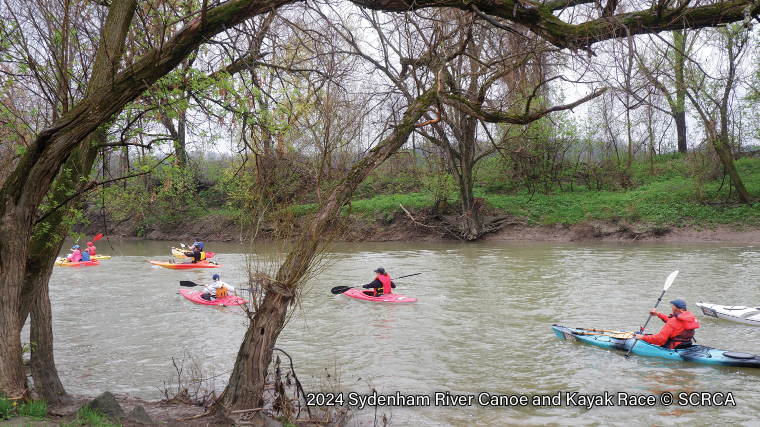2024-Sydenham-River-Canoe-and-Kayak-Race-6