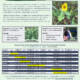 Early Season Cover Crop Planting Case Study: The Richards Project