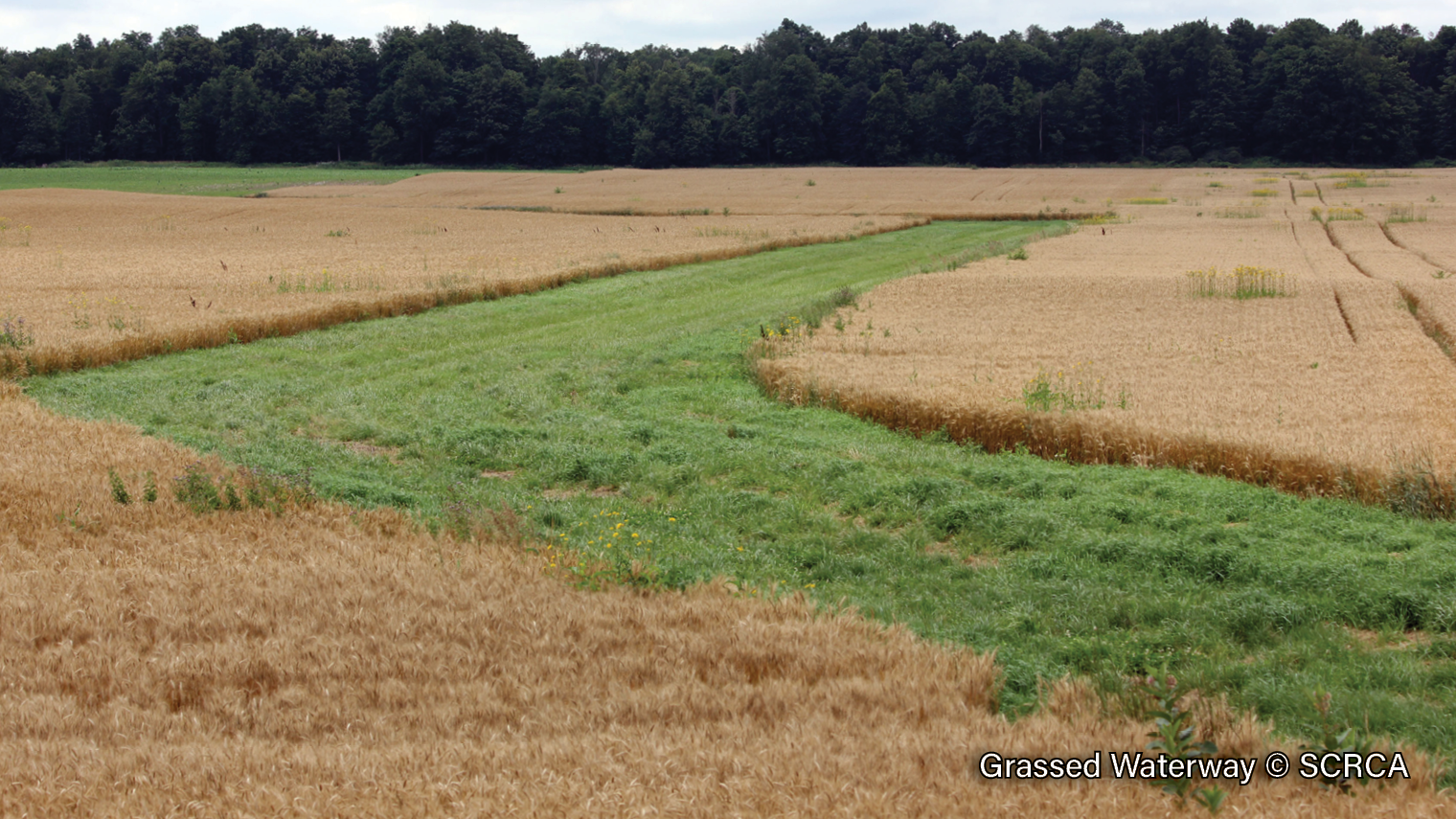 Grassed-Waterway-2