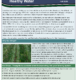 Healthy Soils Newsletter – Fall 2020: Bio Strips