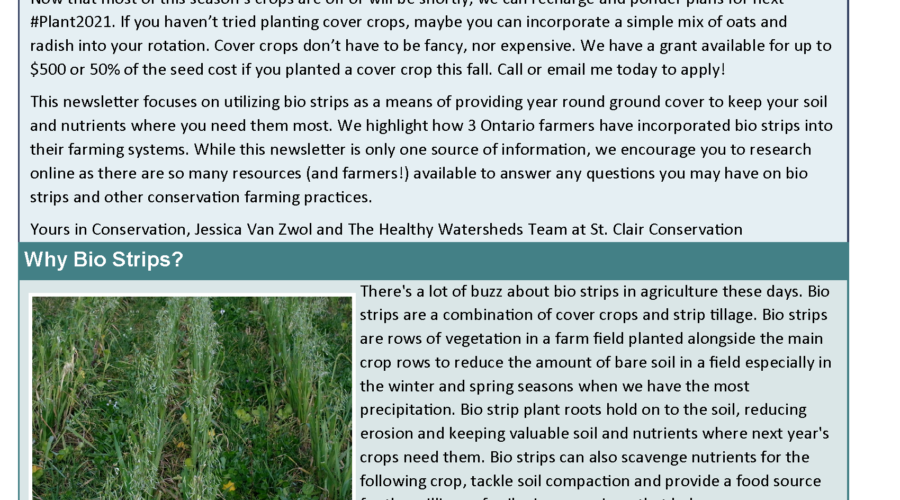 Healthy Soils Newsletter – Fall 2020: Bio Strips