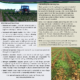 Interseeding Cover Crops into Standing Corn: Equipment Modification Case Studies