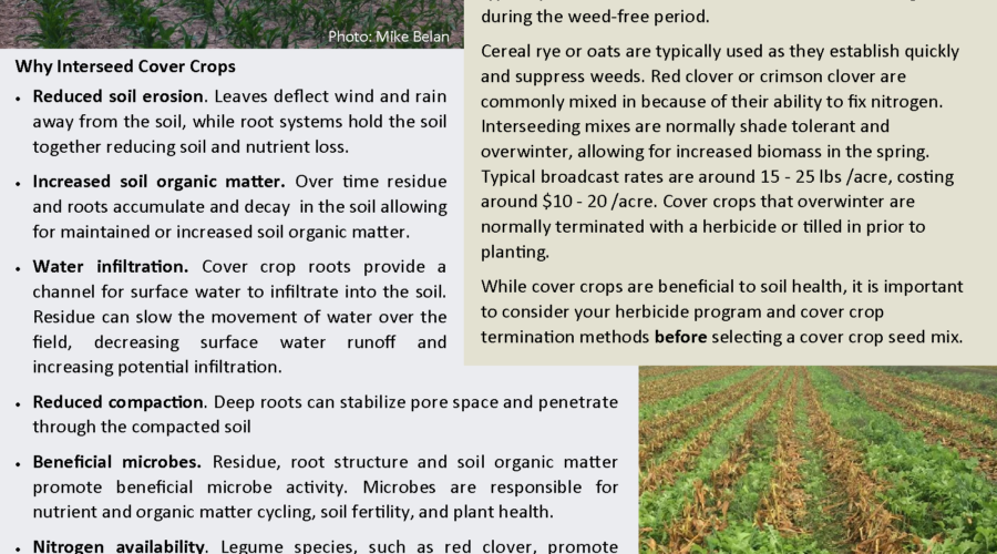 Interseeding Cover Crops into Standing Corn: Equipment Modification Case Studies