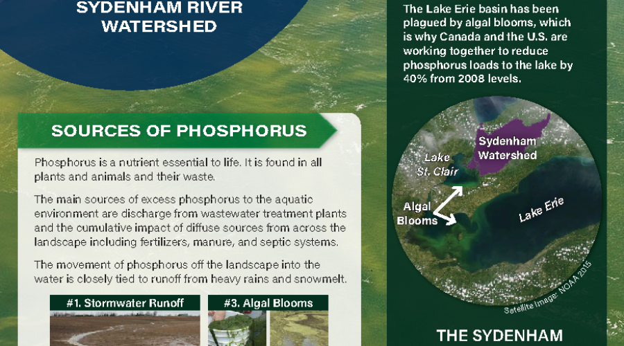 Factsheet: Reducing Phosphorus Loads to the Sydenham River Watershed