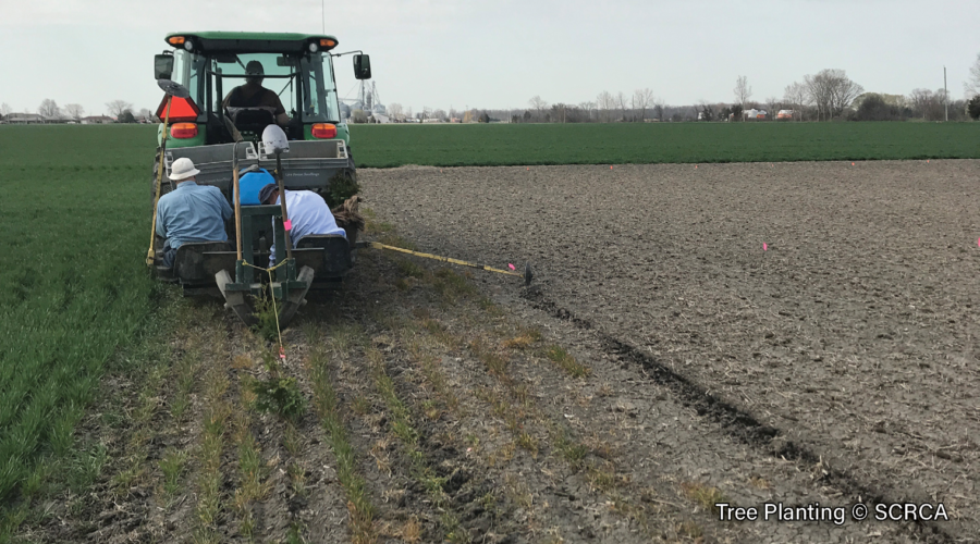 2019 SCRCA Stewardship Program Highlights