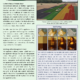 Variable Rate Fertilizer Application Case Study: The Van Arkel Project