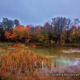 2023 SCRCA Stewardship Program Highlights