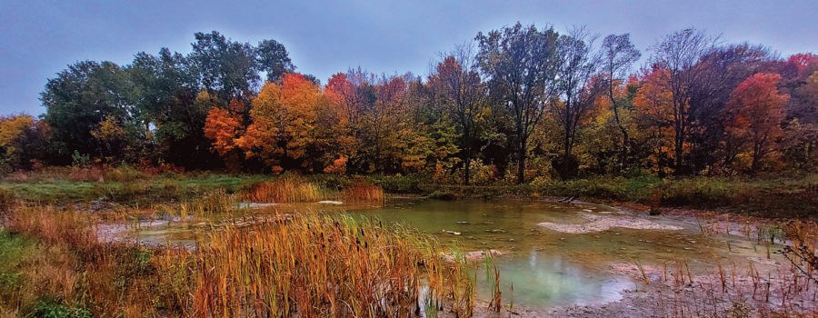 2023 SCRCA Stewardship Program Highlights