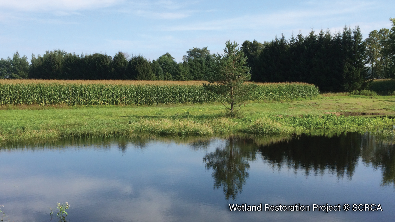 Wetland-Restoration-3