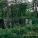 2020 SCRCA Stewardship Program Highlights