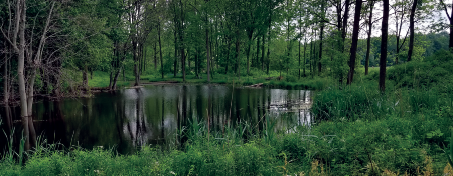 2020 SCRCA Stewardship Program Highlights