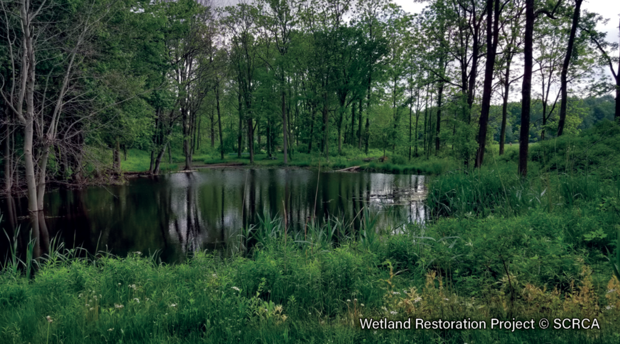 2020 SCRCA Stewardship Program Highlights