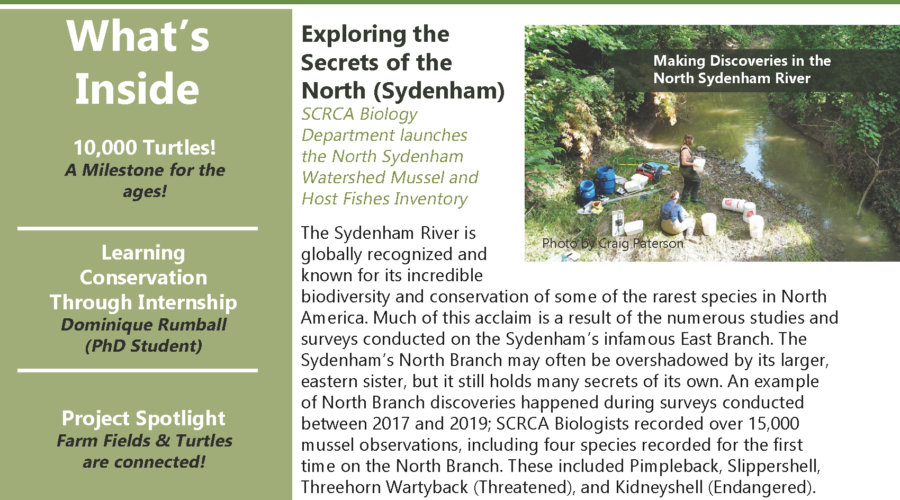 2024 Sydenham River Newsletter