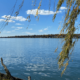 2024 Wonderful Watershed Photo Contest