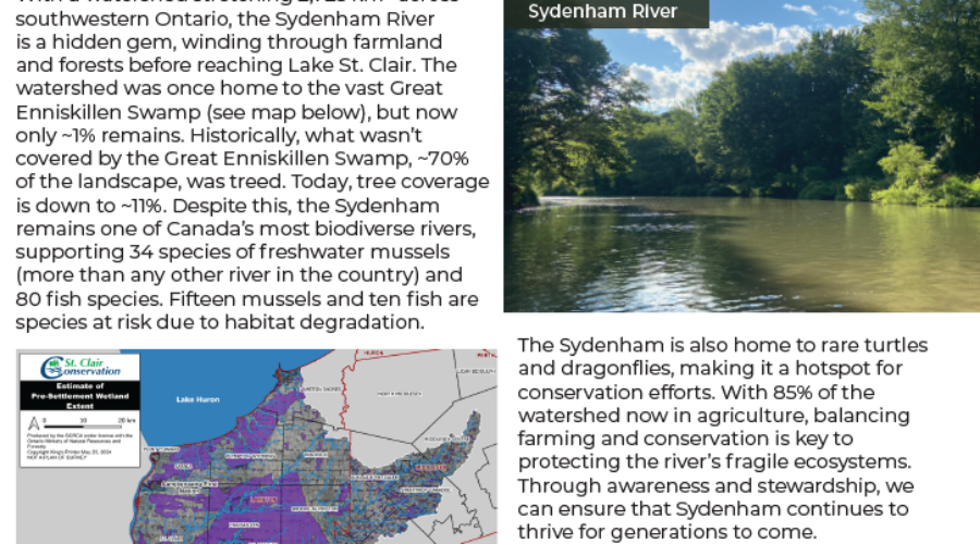 2025 Sydenham River Newsletter