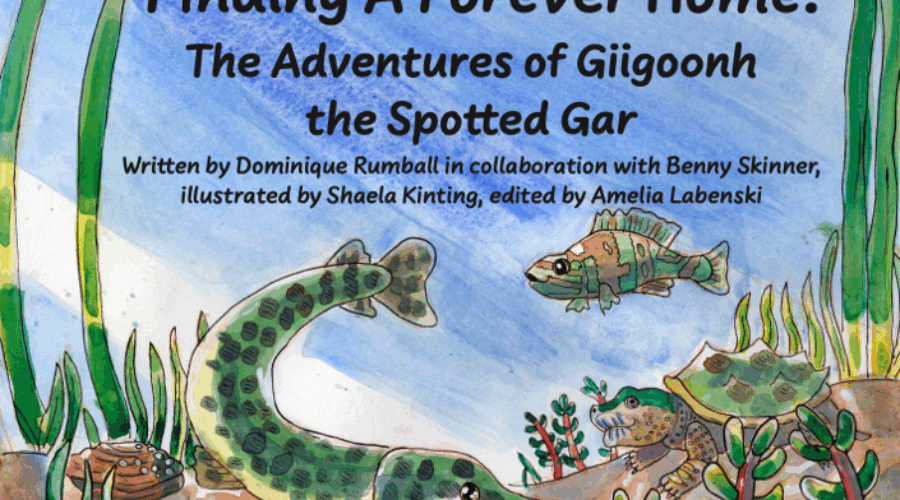 Author Highlight: Finding A Forever Home by Dominique Rumball