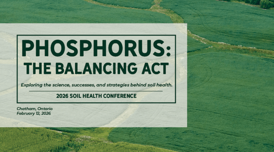 Phosphorus: The Balancing Act