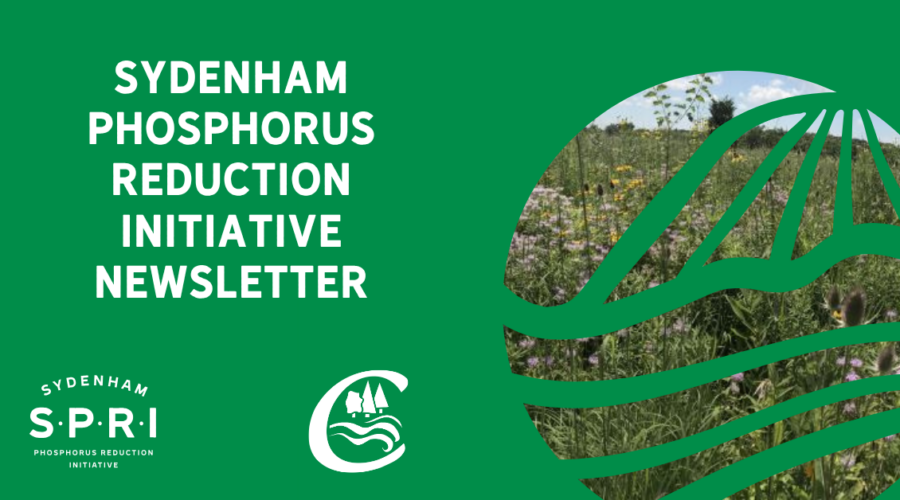 SPRI Newsletter Volume 1 Issue 3 : Riparian Zones
